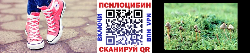 Галлюциногенные грибы Psilocybine cubensis  hydra вход  Городец 